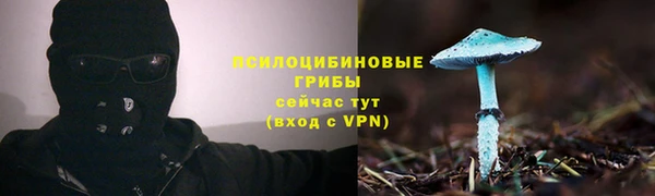альфа пвп Вяземский