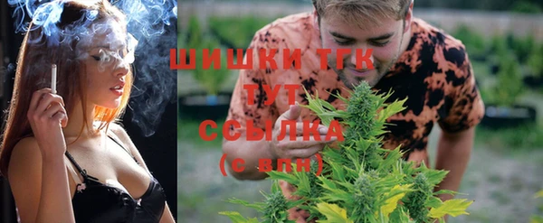 крисы Вязники