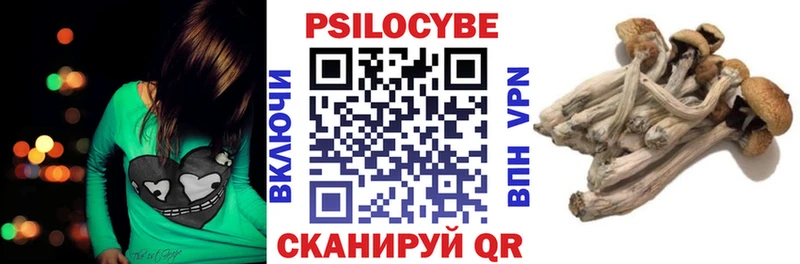 Галлюциногенные грибы GOLDEN TEACHER  Купить где  Рославль 